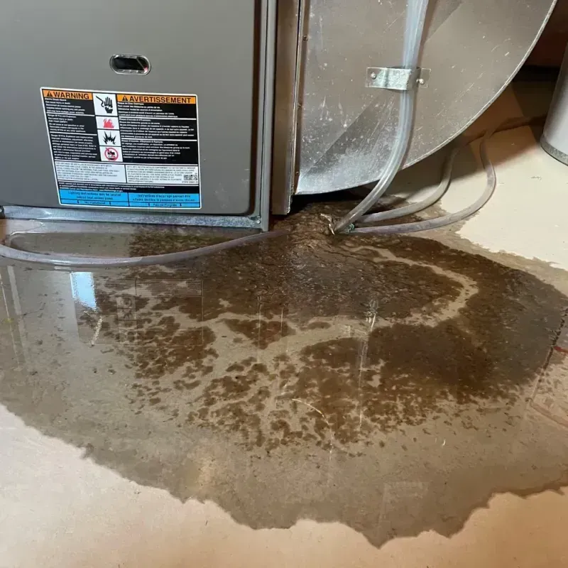 Appliance Leak Cleanup in Brookshire, TX